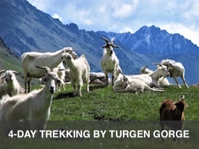 4-day trekking by Turgen