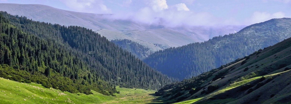 Furmanovka peak trekking 