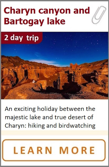 Charyn canyon