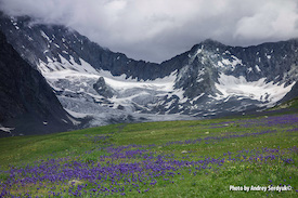 Altai landscapes