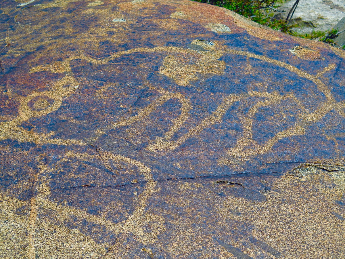 rock carvings in Djungaria