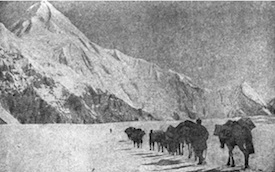конный караван на леднике