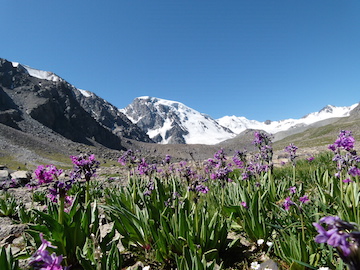 Tien Shan mountains