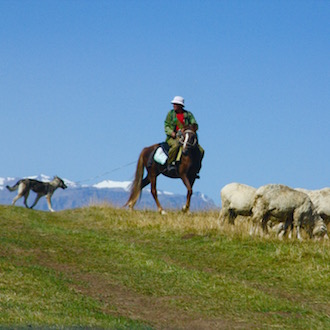Kazakhstan shepherd