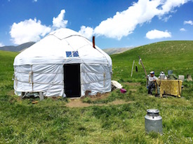 yurta on Asy